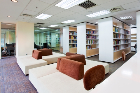 Level-12Library.jpg